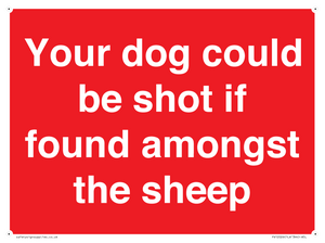Your dog could be shot if found amongst the sheep
